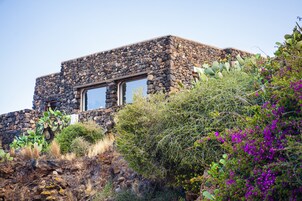 Un edificio de piedra con un amplio ventanal y plantas de cactus alrededor.