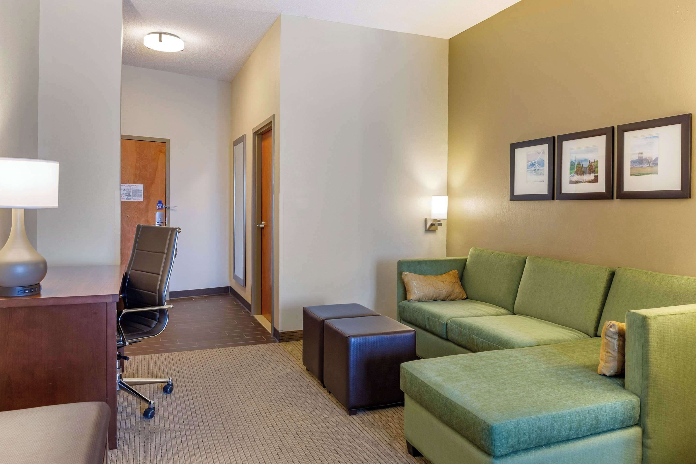 suite, 1 king bed with sofa bed, accessible, non smoking | desk, blackout curtains, iron/ironing board, free wifi