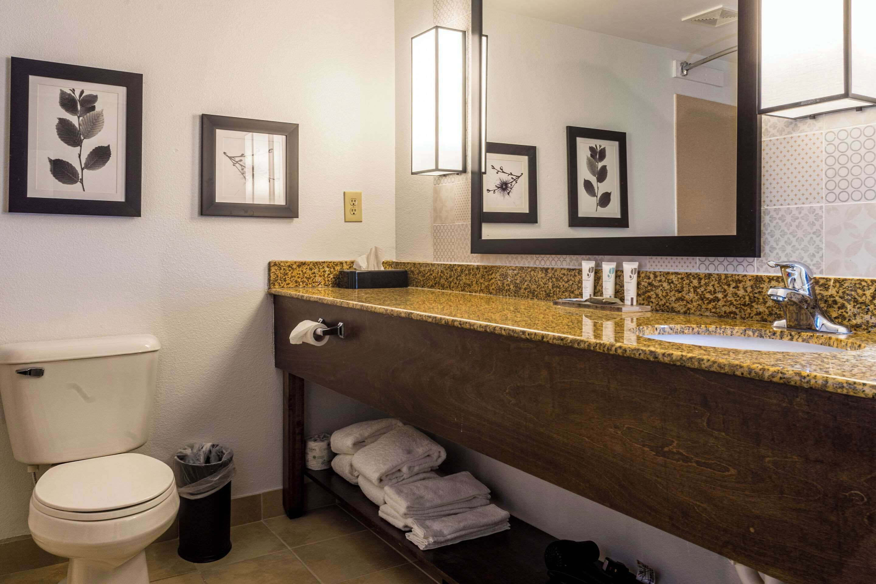 A bathroom with a toilet, sink, and framed artwork on the wall.