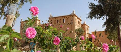 Voorkant van accommodatie