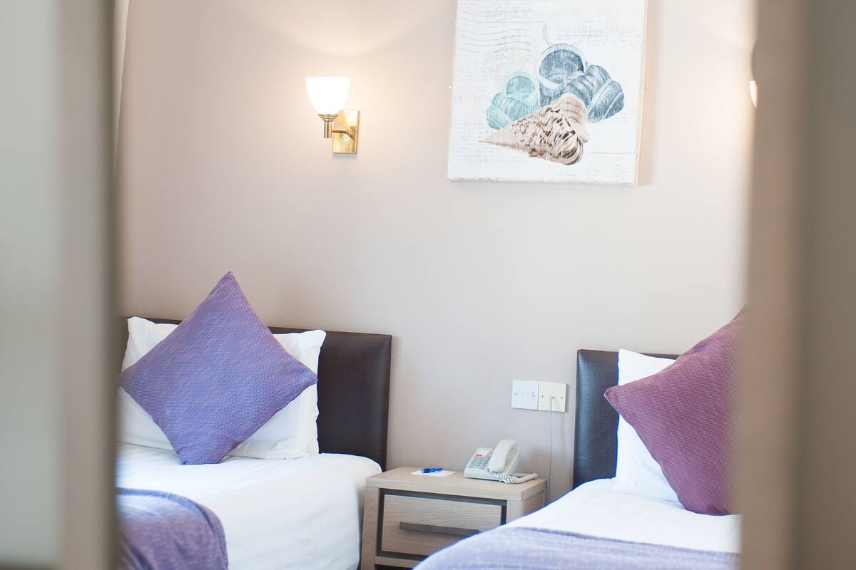 Standard Twin Room | Desk, iron/ironing board (on request), WiFi (free), bed sheets