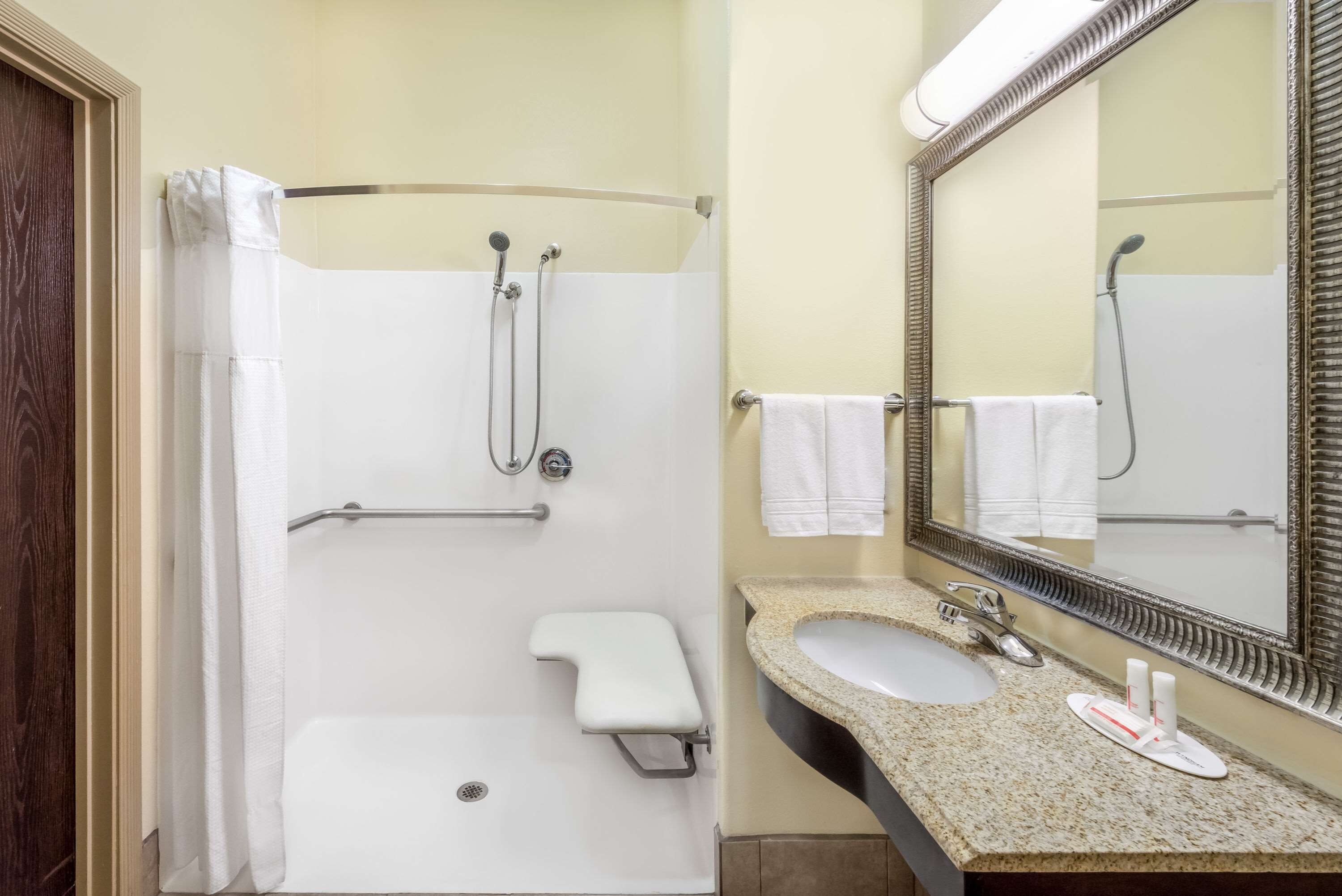 room, 1 queen bed, accessible, non smoking (mobility/hearing, roll-in shower) | bathroom | combined shower/bathtub, free toiletries, hair dryer, towels