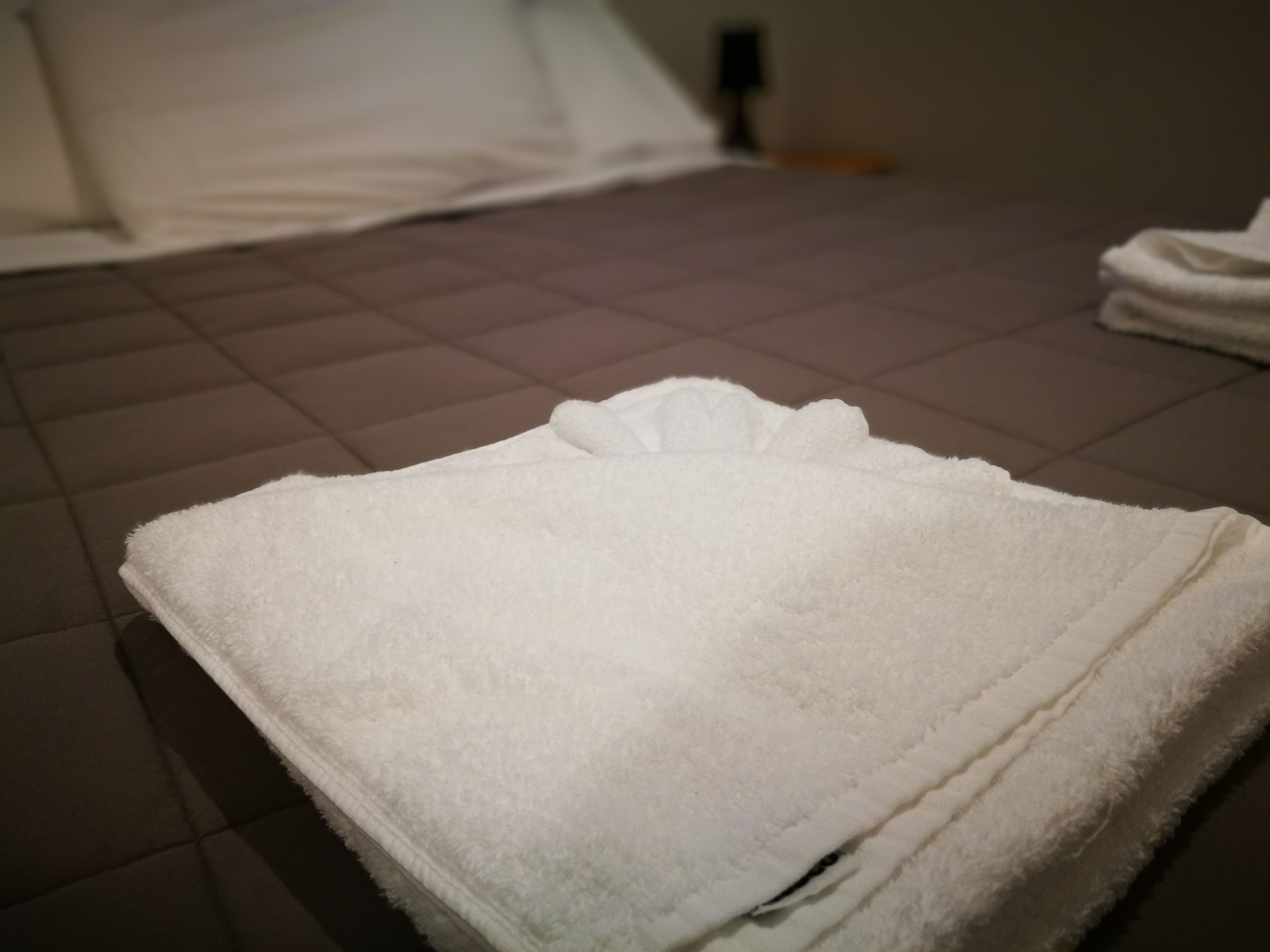 Foto - Airport Birches Motel