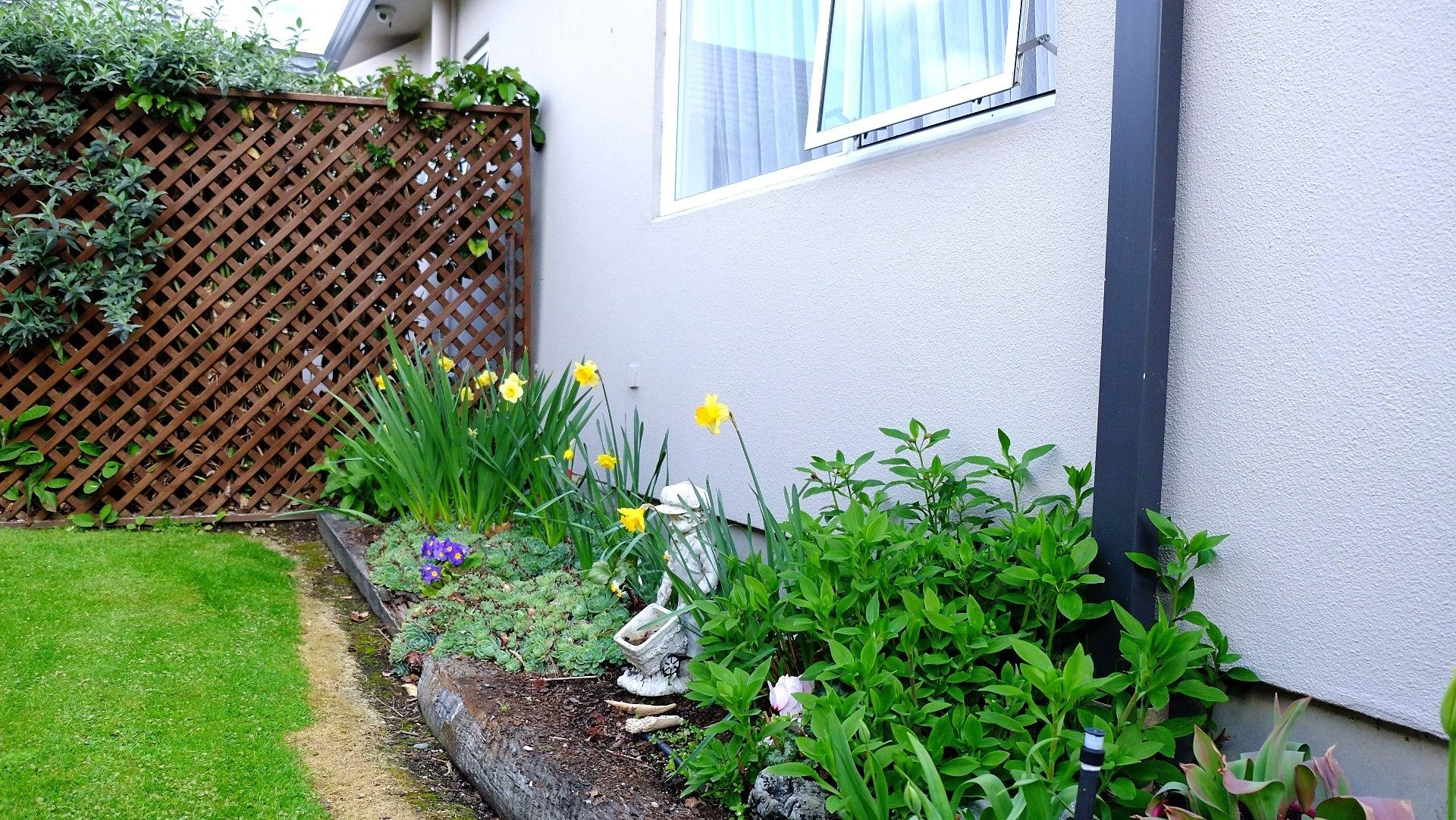 Foto - Airport Birches Motel