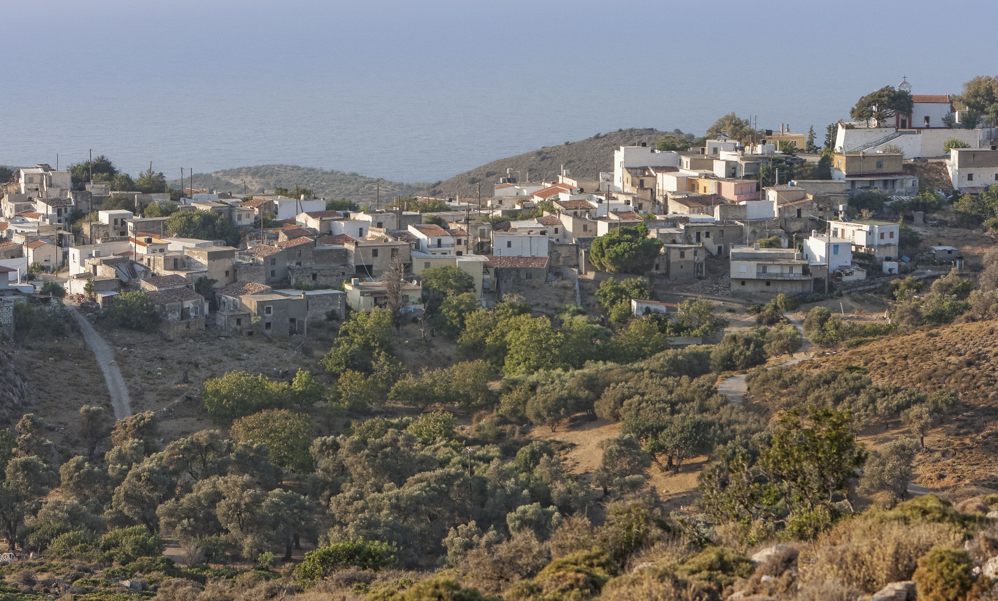 A coastal village with compact housing, a dirt path, and a view of the sea.