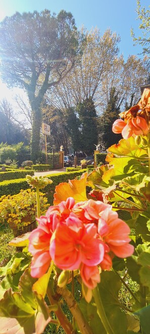 Un jardín con plantas florecientes y un gran árbol.