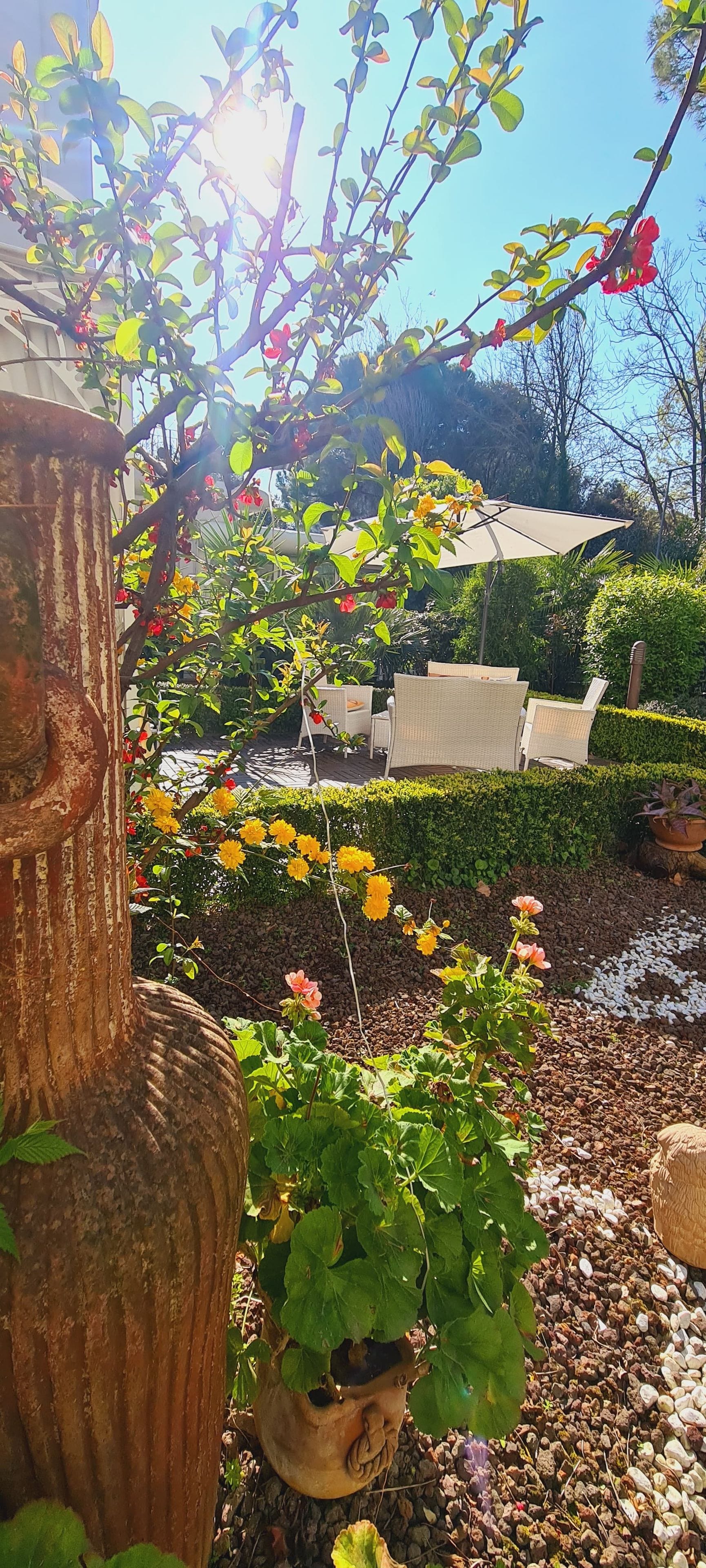 Un jardin agrémenté de diverses plantes à fleurs, d’un grand pot décoratif et d’un espace détente avec des chaises.