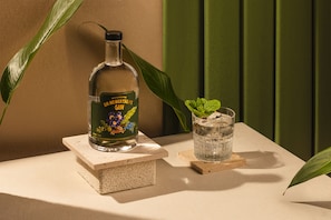 A bottle of Dr. Robertso's Gin and a glass with ice on a table with a plant.