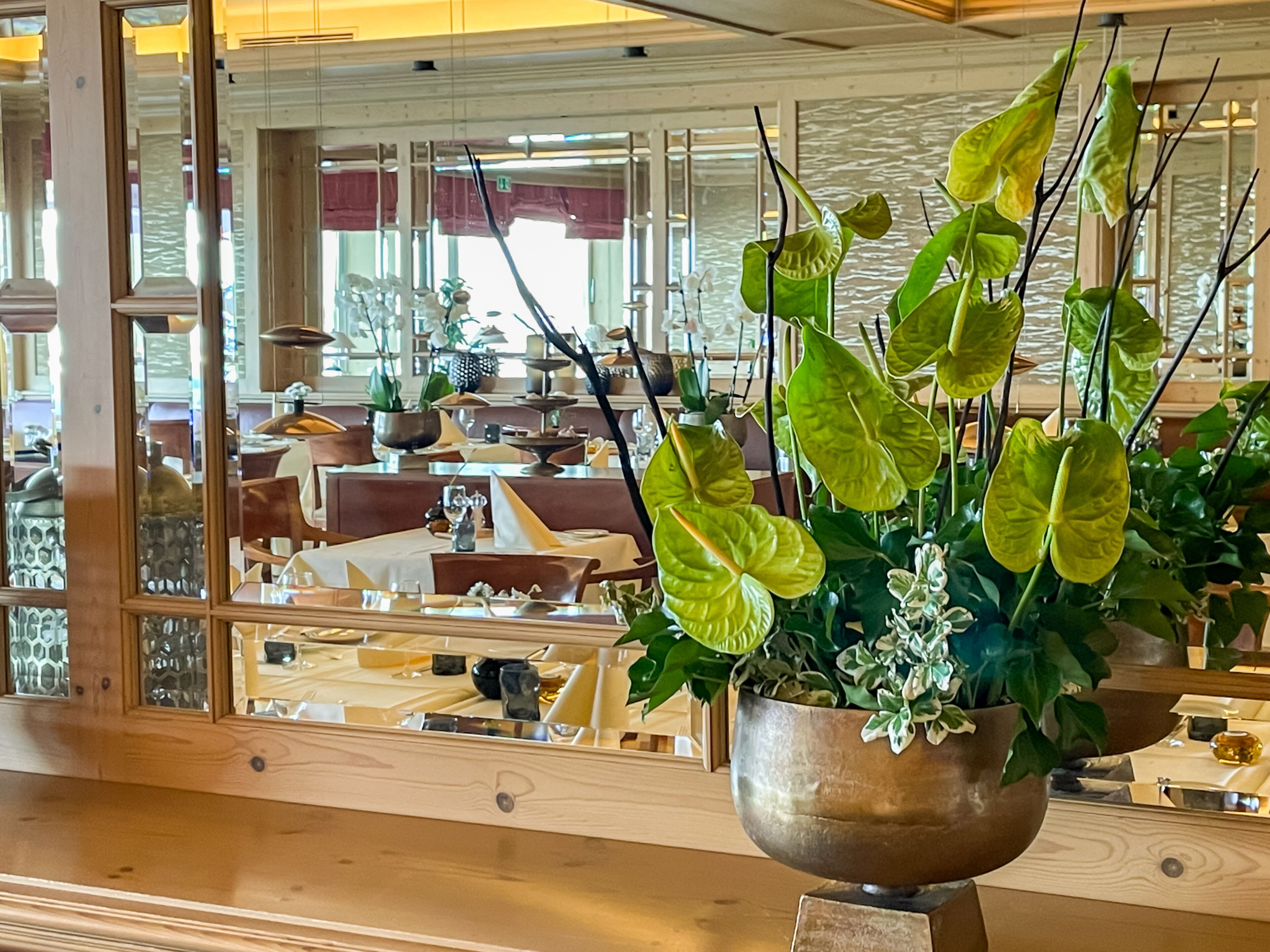 Un interior de restaurante con mesas y sillas de madera, y una planta grande en maceta al frente.