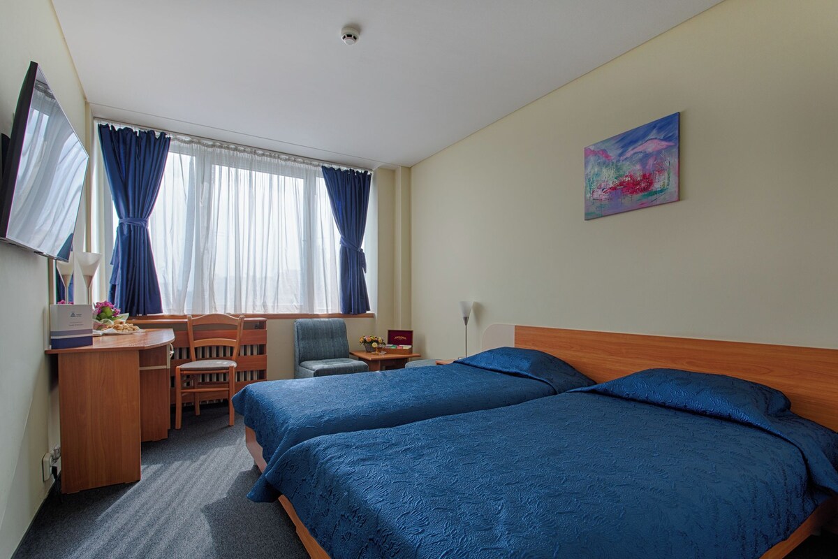 Classic Twin Room | Minibar, desk, laptop workspace, blackout drapes