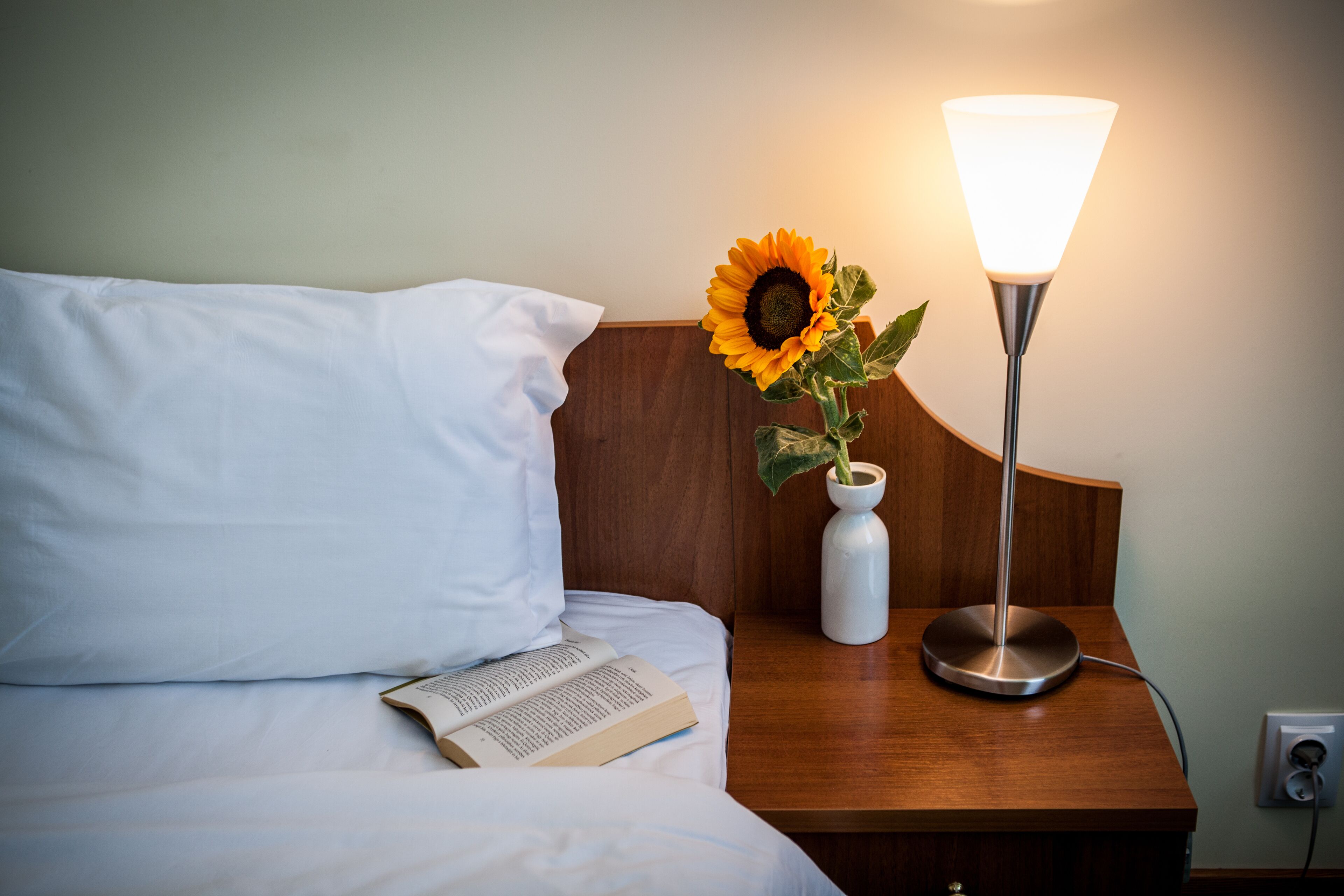 Photo - Hemus Hotel Sofia