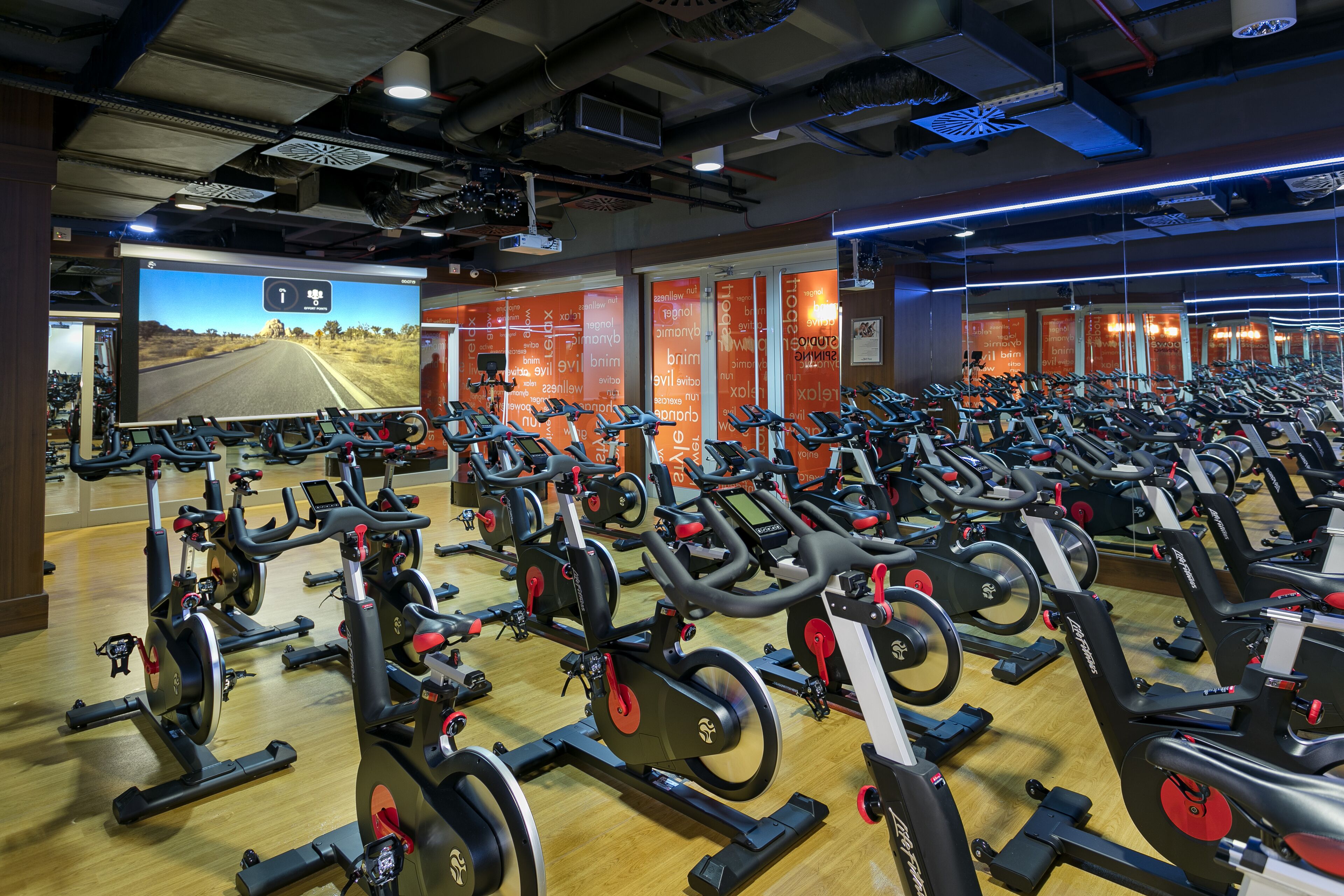 A gym with multiple stationary bikes arranged in rows.