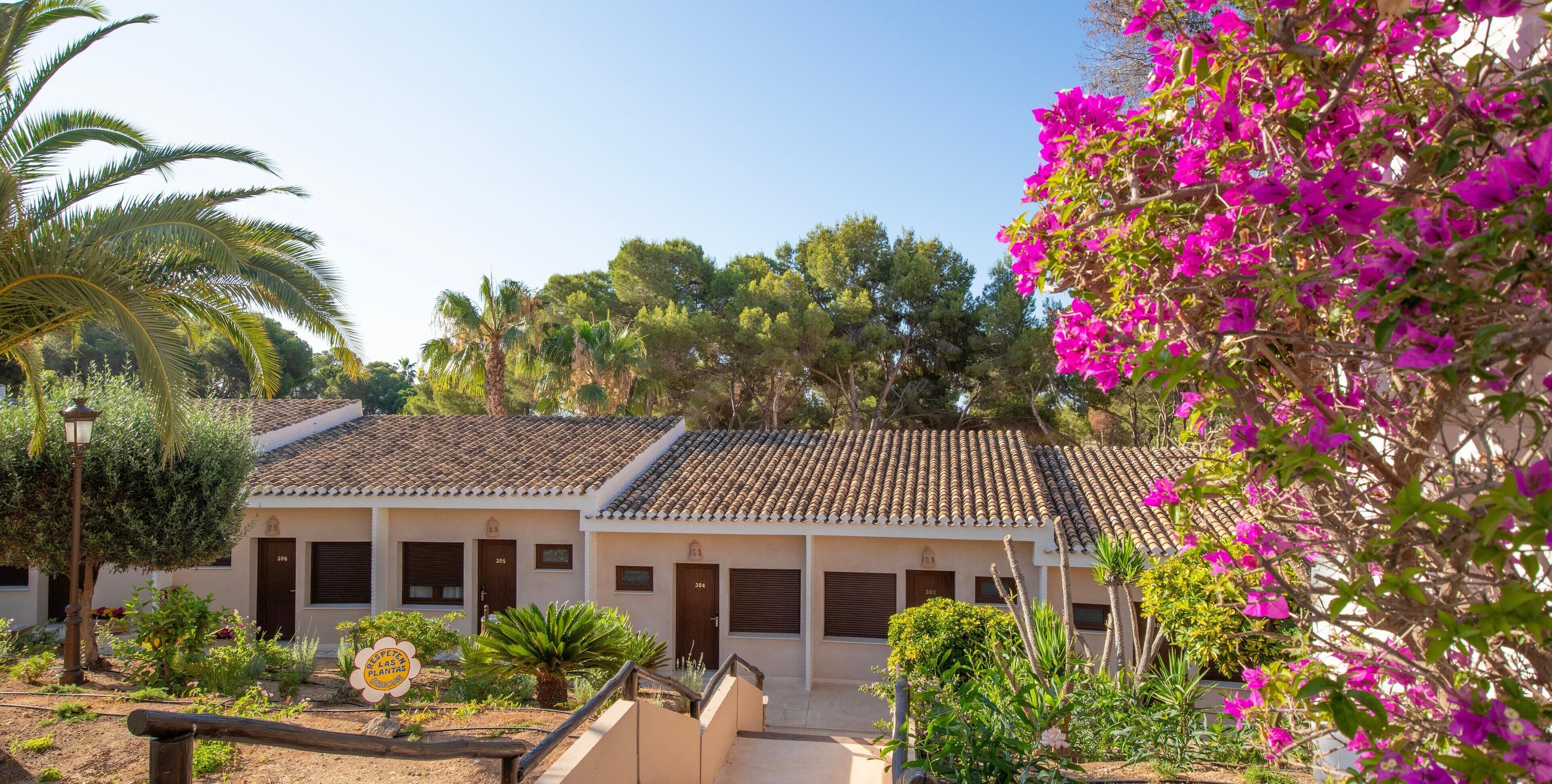 Literie de qualité supérieure, couette en duvet d'oie, minibar