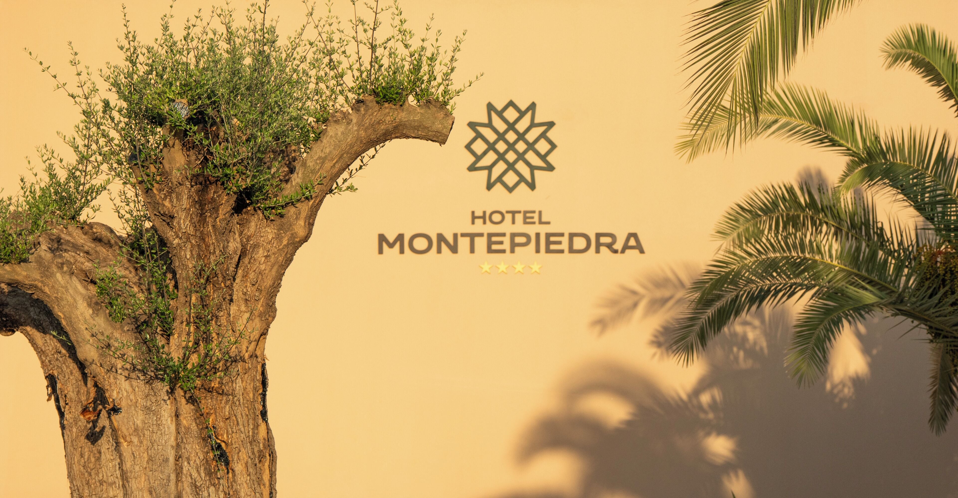 Foto - Hotel Montepiedra 4''''sup