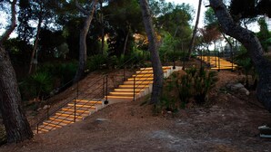 Un escalier dont les marches sont illuminées, entouré d’arbres.