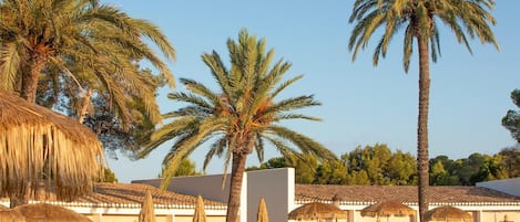 Una piscina al aire libre, sombrillas, sillones reclinables de piscina