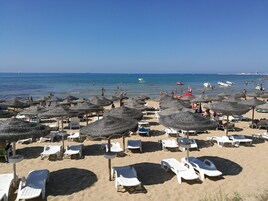 Una playa con numerosas tumbonas y sombrillas de paja.