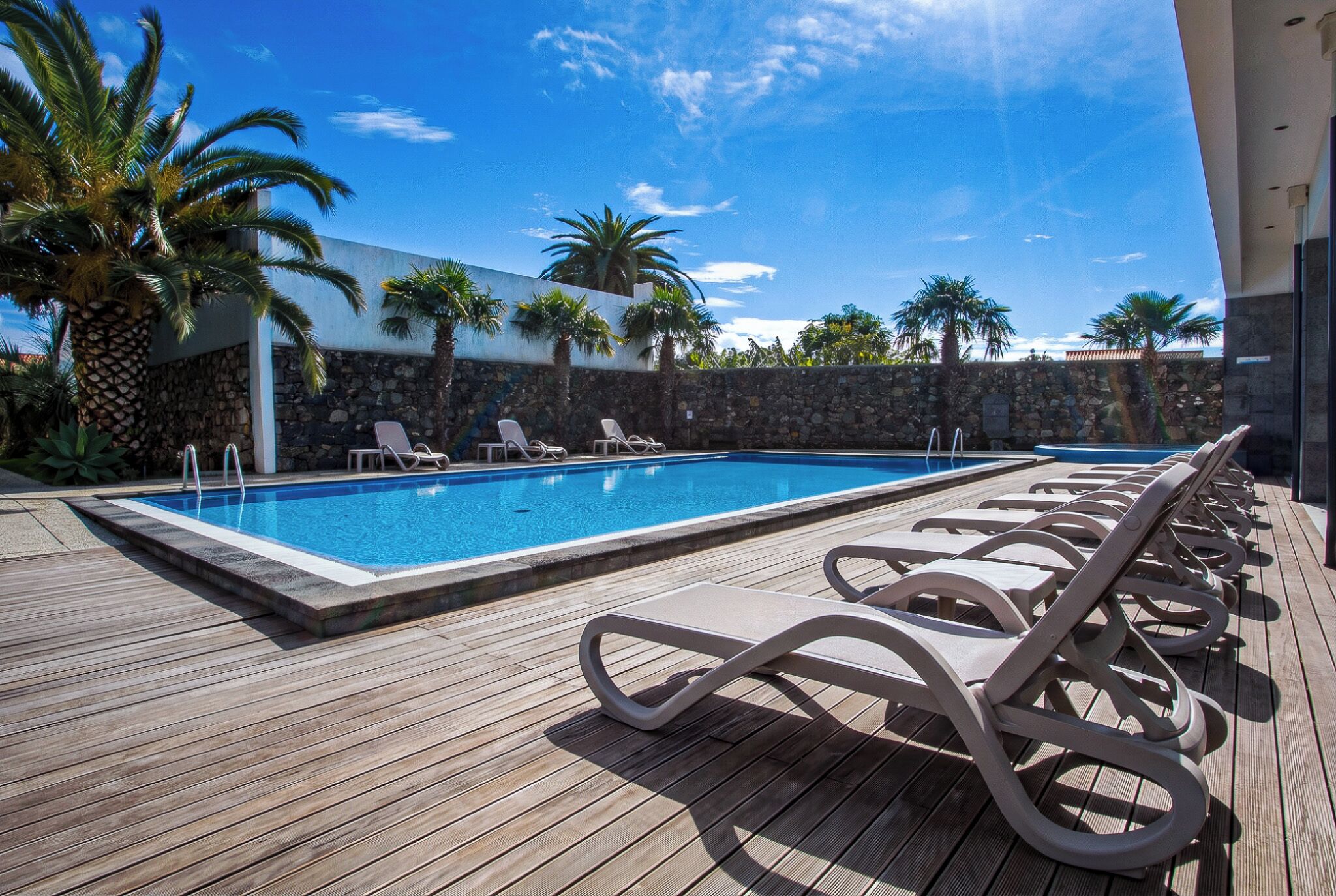 A swimming pool with lounge chairs and palm trees.
