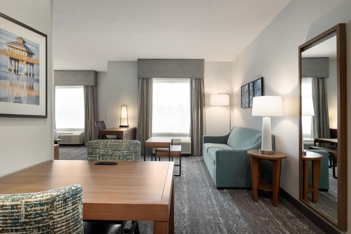 Studio, 1 King Bed, Accessible, Non Smoking (Mobility & Hearing, Roll-in Shower) | Living area