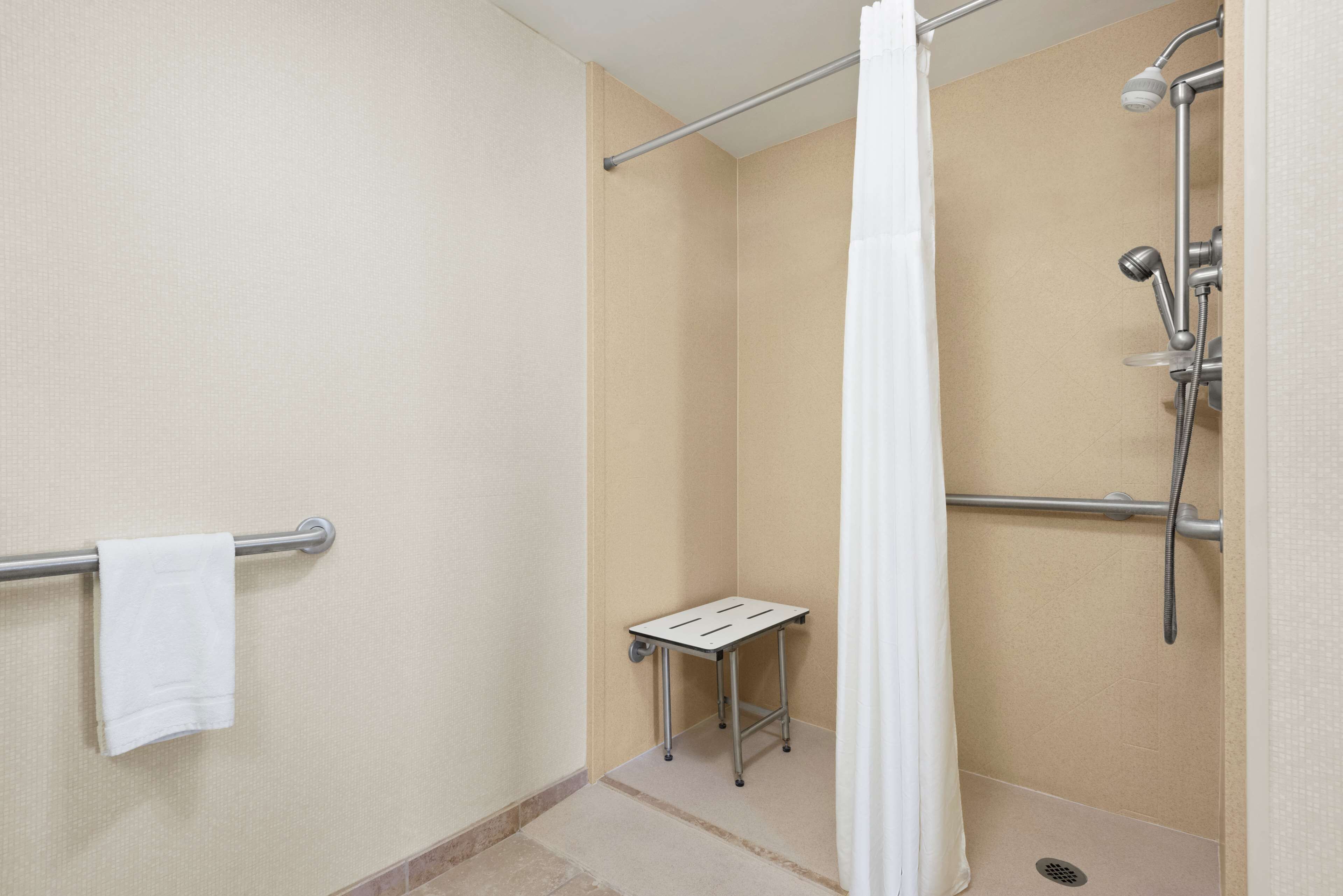 room, 1 king bed, accessible, non smoking | bathroom shower