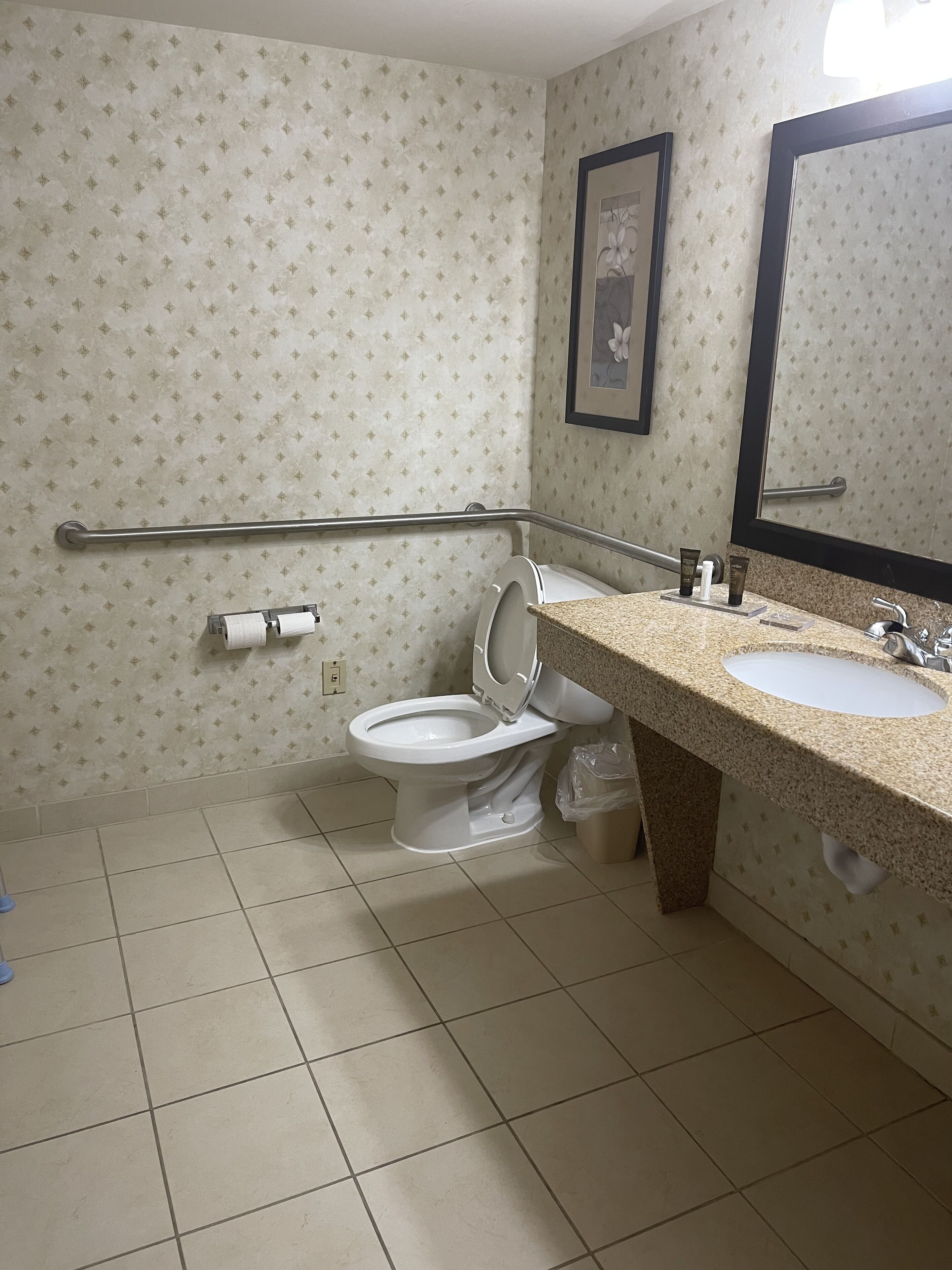 A bathroom with a toilet, a sink, a mirror, and a handrail.