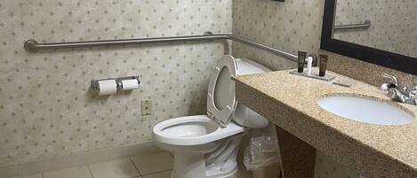 A bathroom with a toilet, a sink, a mirror, and a handrail.