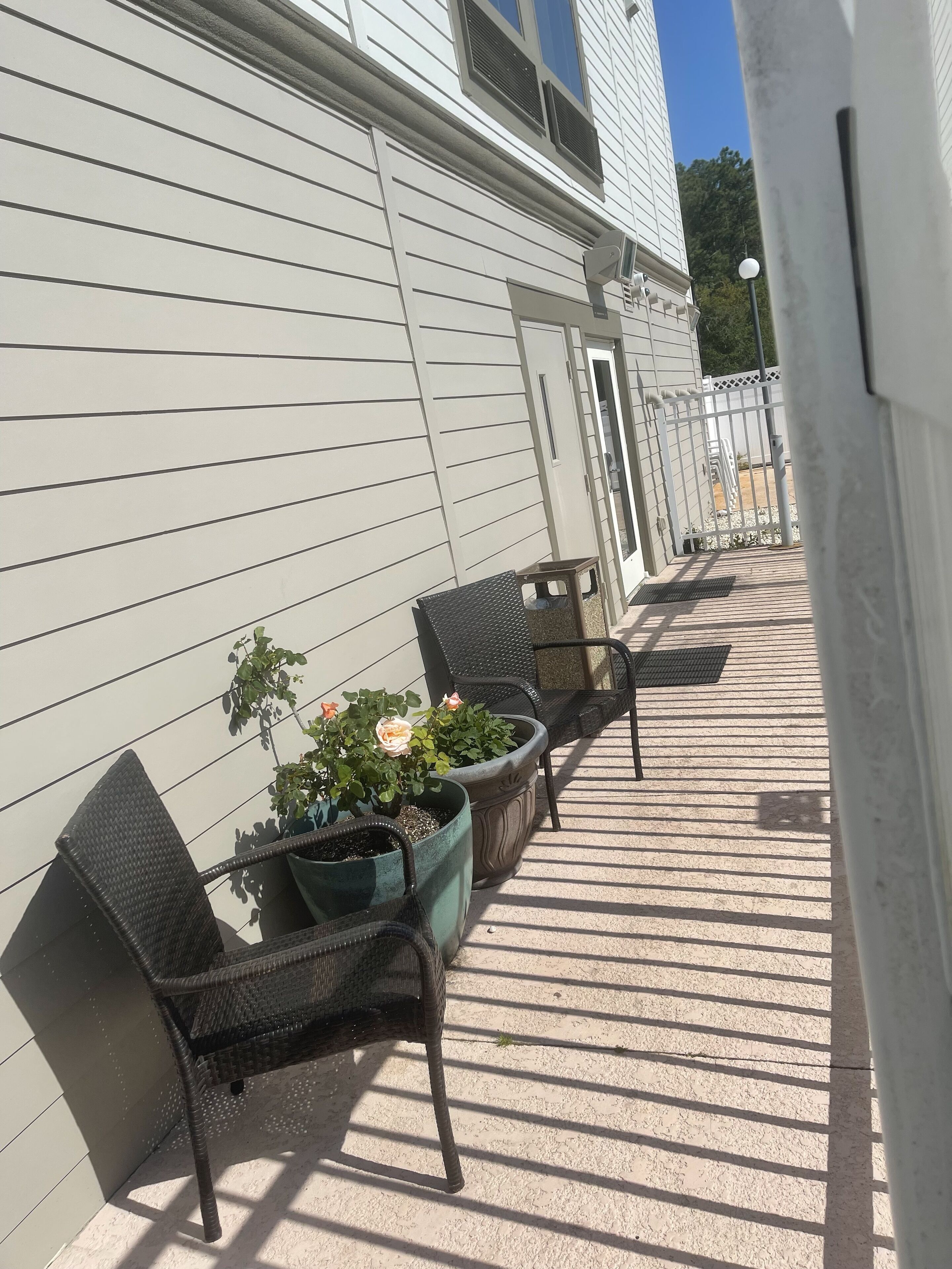 Un espace extérieur abrité comprenant deux fauteuils en osier et deux plantes en pot.