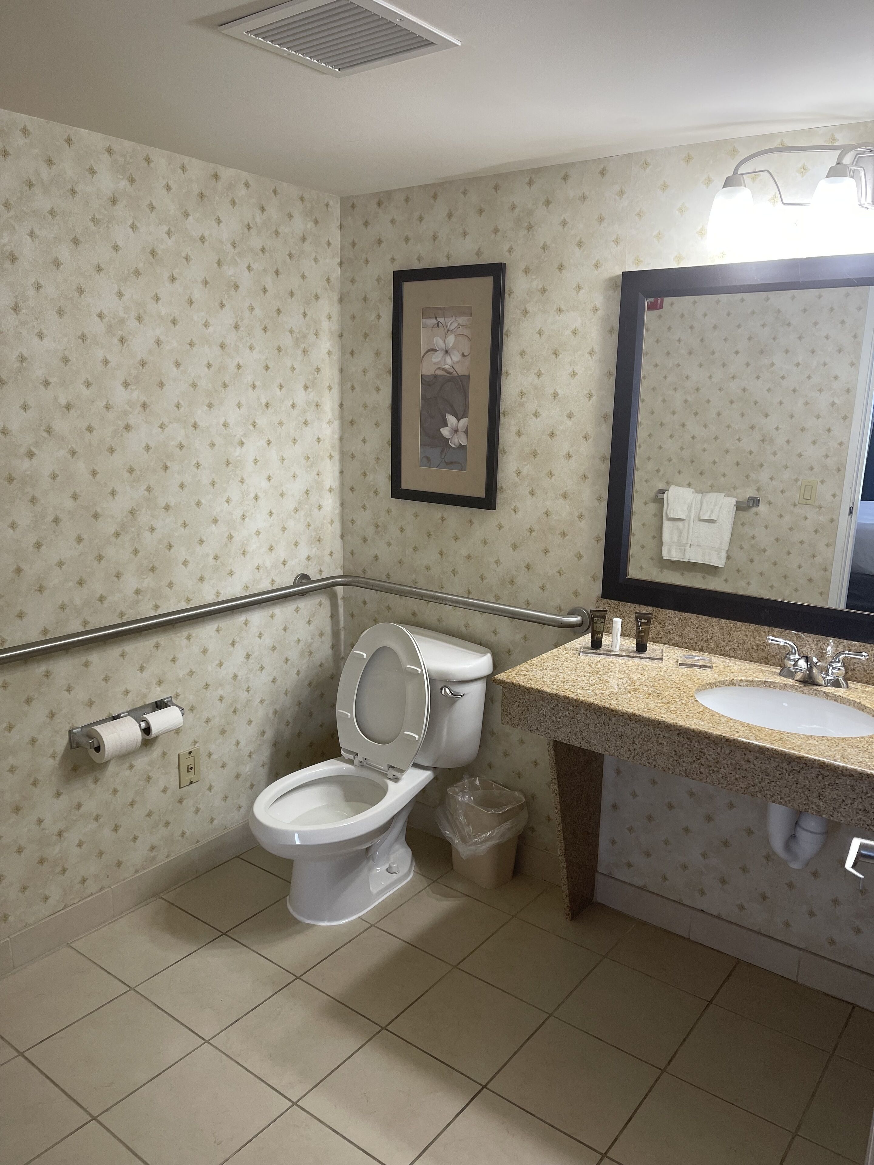 A bathroom with a toilet, sink, and mirror.