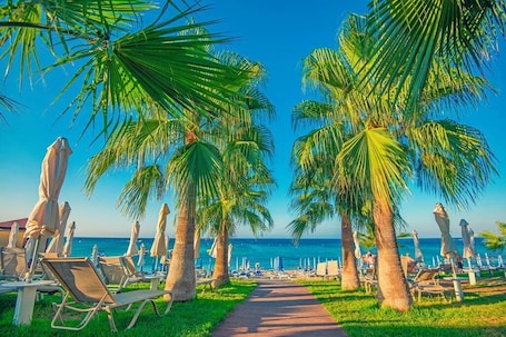 A beachside walkway lined with palm trees and beach chairs, leading to the ocean.