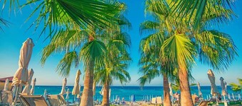 Silver Sands Beach Hotel