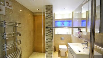 Shower, hair dryer, towels