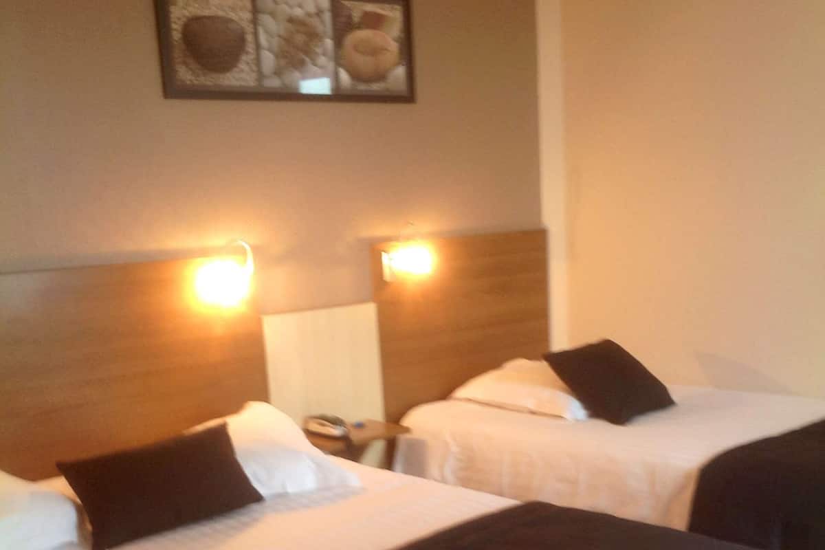 Deux lits simples avec des têtes de lit, une table de chevet avec une lampe et un tableau encadré au mur.