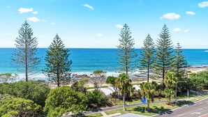 Vista costeira com altas árvores de pinheiro, uma praia e céu azul límpido.
