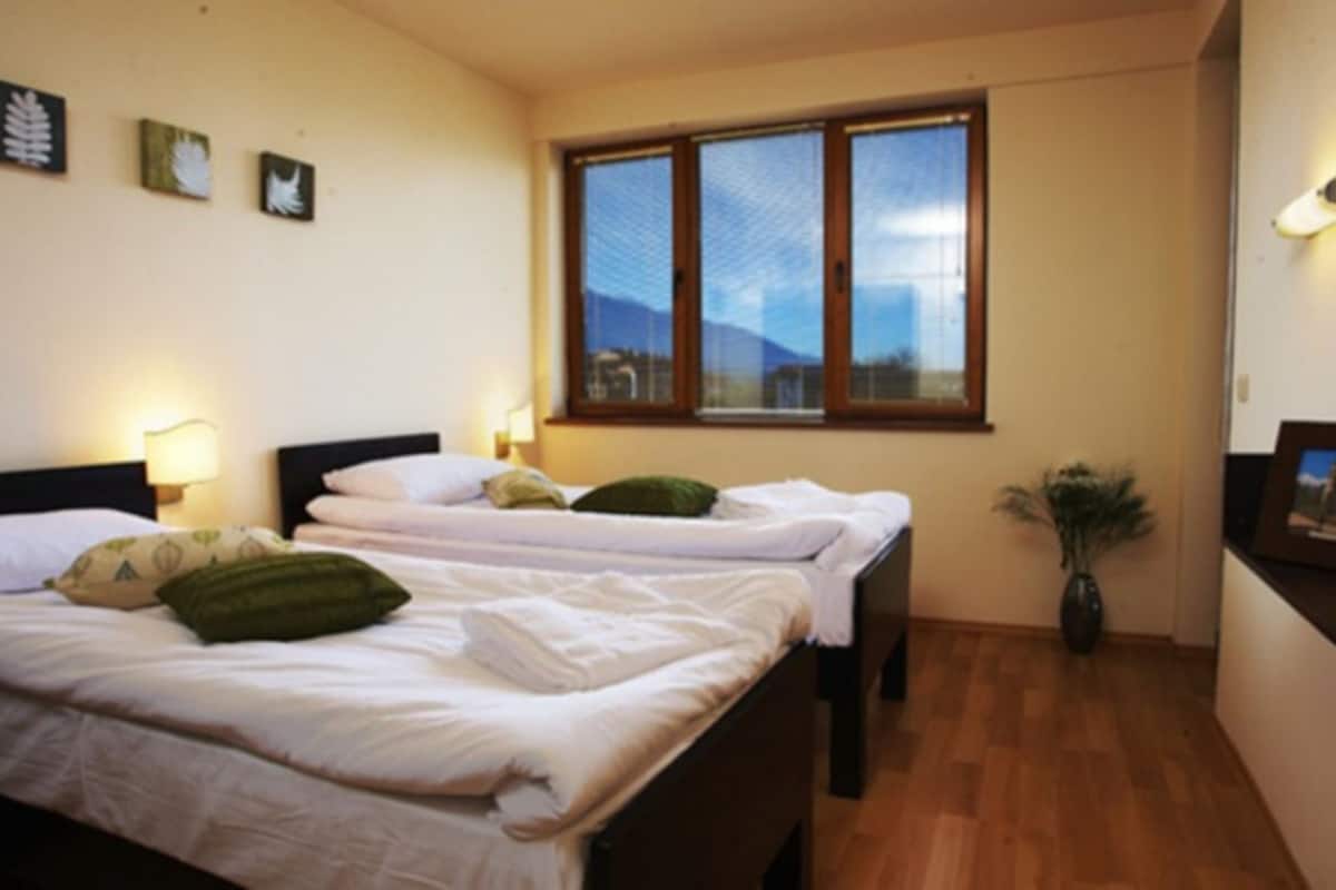 Apartment, 2 Bedrooms (Main Building) | 2 bedrooms, minibar, desk, iron/ironing board