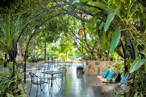 Property grounds - Quinta Del Gobernador (Cuernavaca)