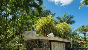 A tropical garden with a stone bridge, a small waterfall, and a pond.