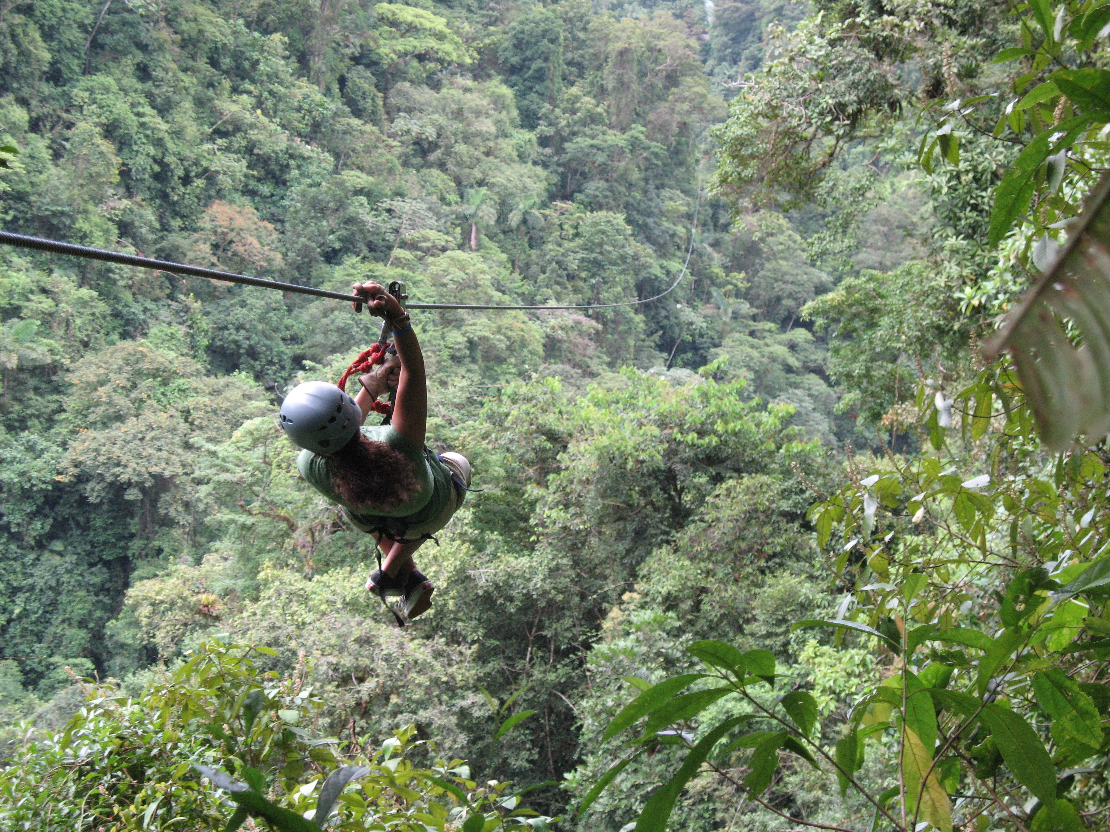 Una persona deslizándose en tirolesa por un bosque frondoso.