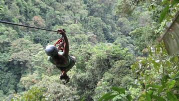 Una persona deslizándose en tirolesa por un bosque frondoso.
