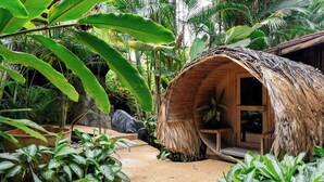 Una cabaña con techo de paja y puerta de madera, rodeada de exuberante vegetación tropical y un camino de grava.