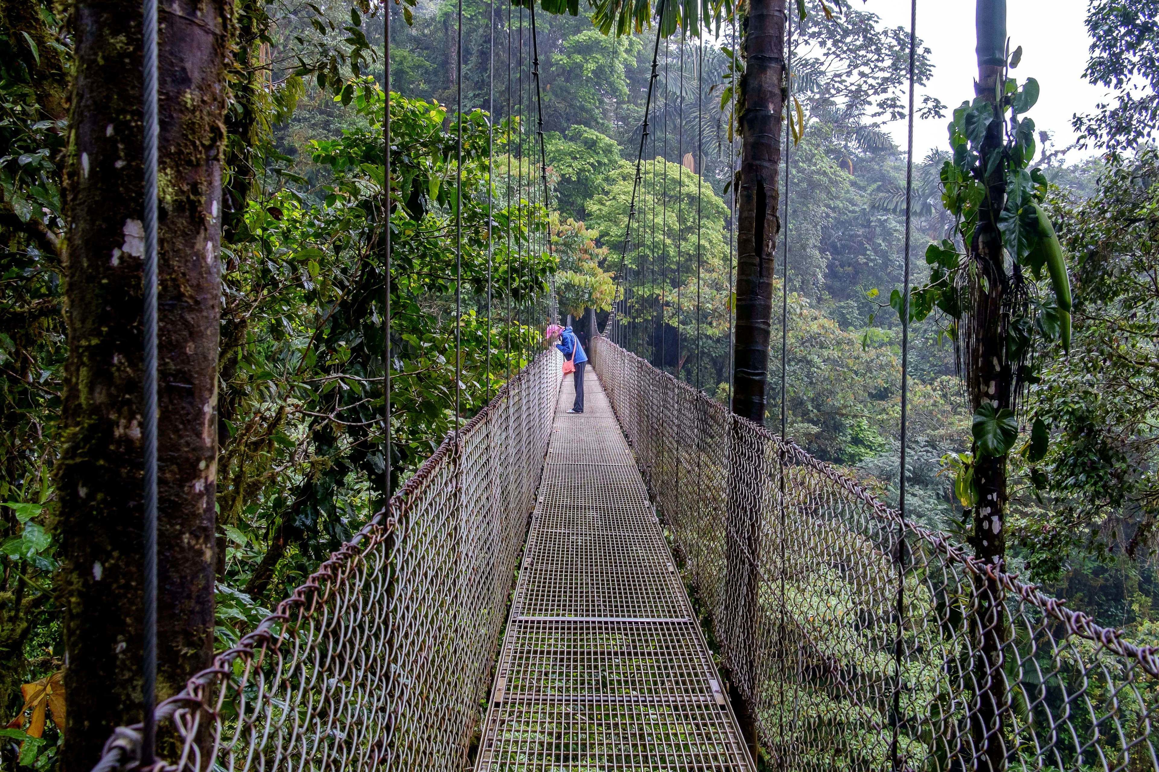 Eine Hängebrücke in bewaldeter Landschaft, eine Person geht darüber.