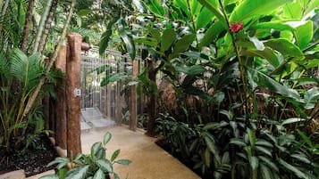 Espace de soins pour les couples, sauna, bain à remous, hammam