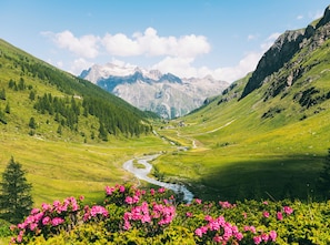 A valley with a river, mountains, and a small building in the distance. - Schweizerhof Sils Maria, a Faern Collection Hotel (Sils im Engadin-Segl)