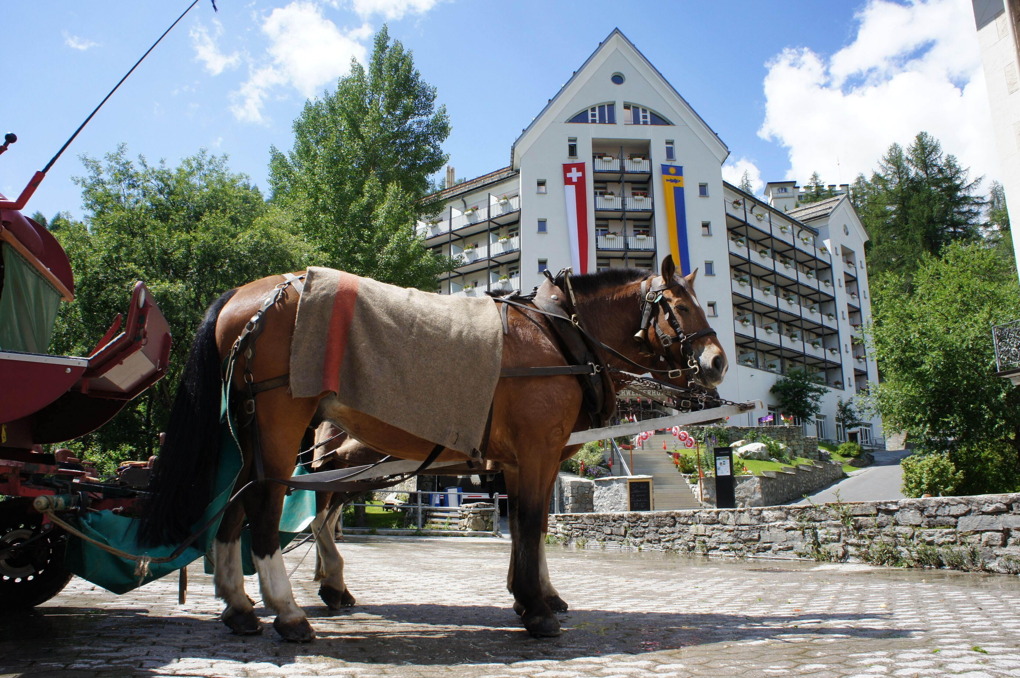 A horse-drawn carriage in front of a building with a Swiss flag, indicating a location in Switzerland.