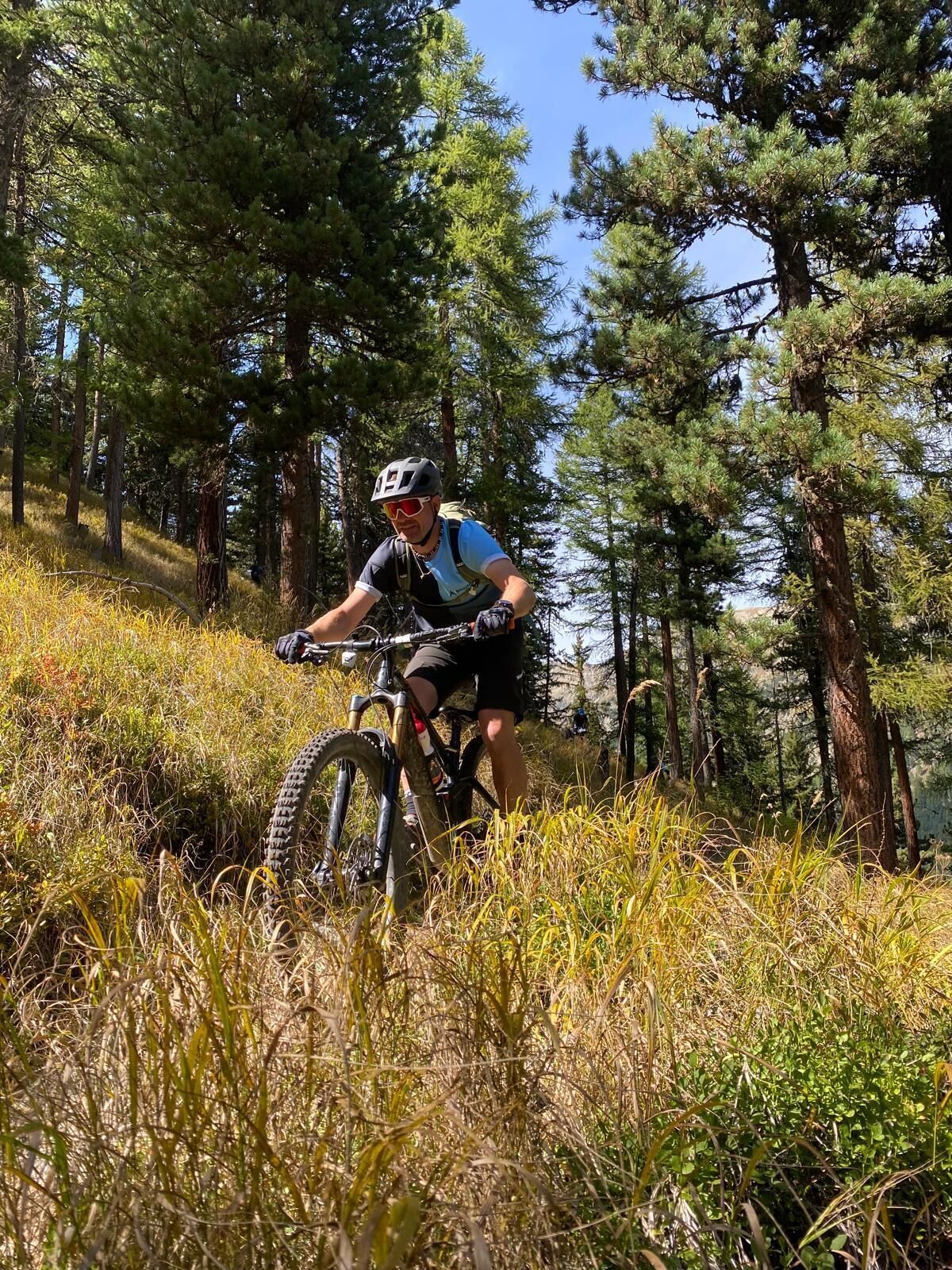 A person riding a mountain bike on a grassy trail surrounded by tall trees.