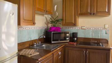 Una cocina con armarios de madera, microondas, fregadero y una planta.