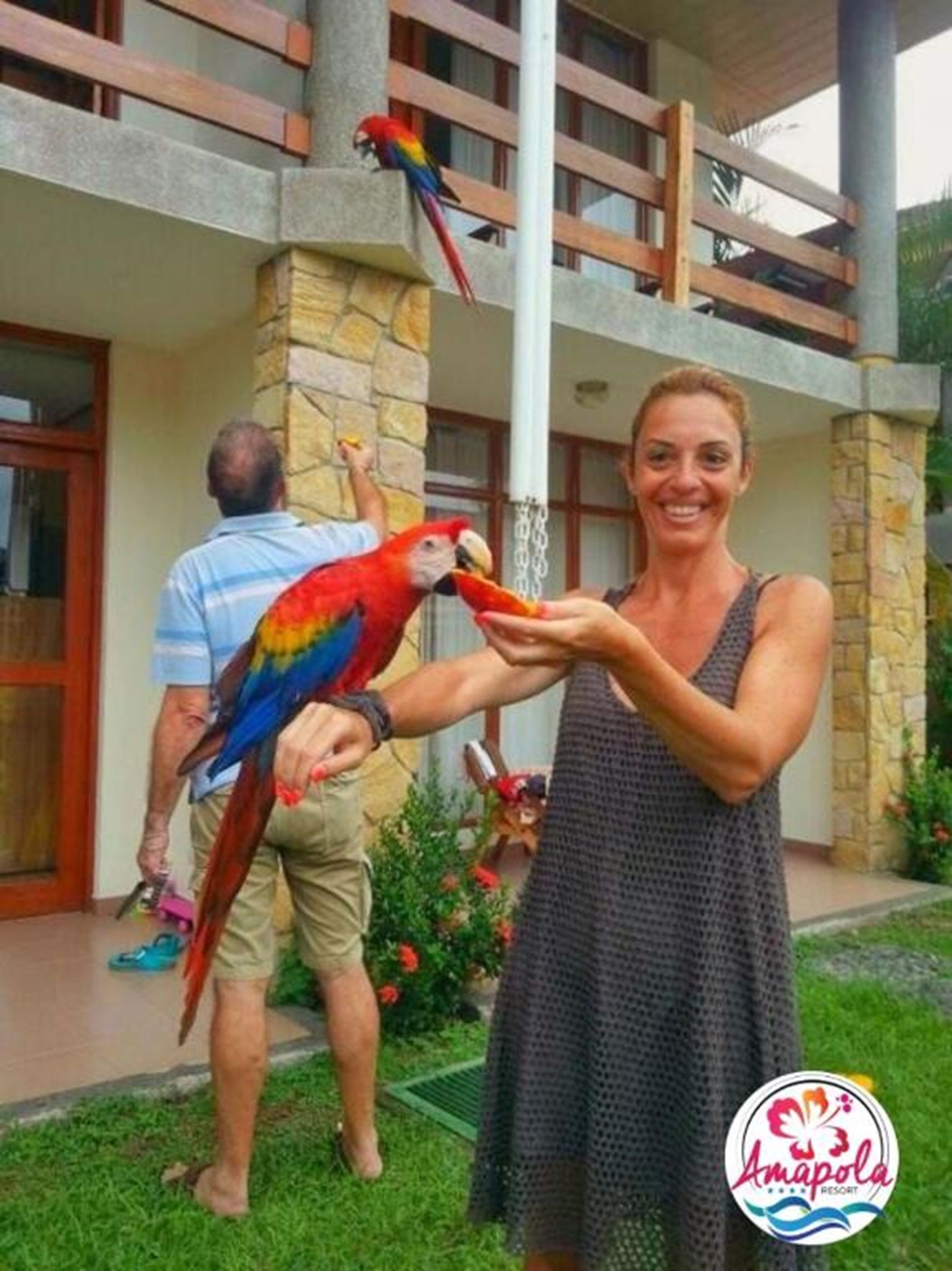 A person holding a parrot, with a man in the background and a building with a stone facade.