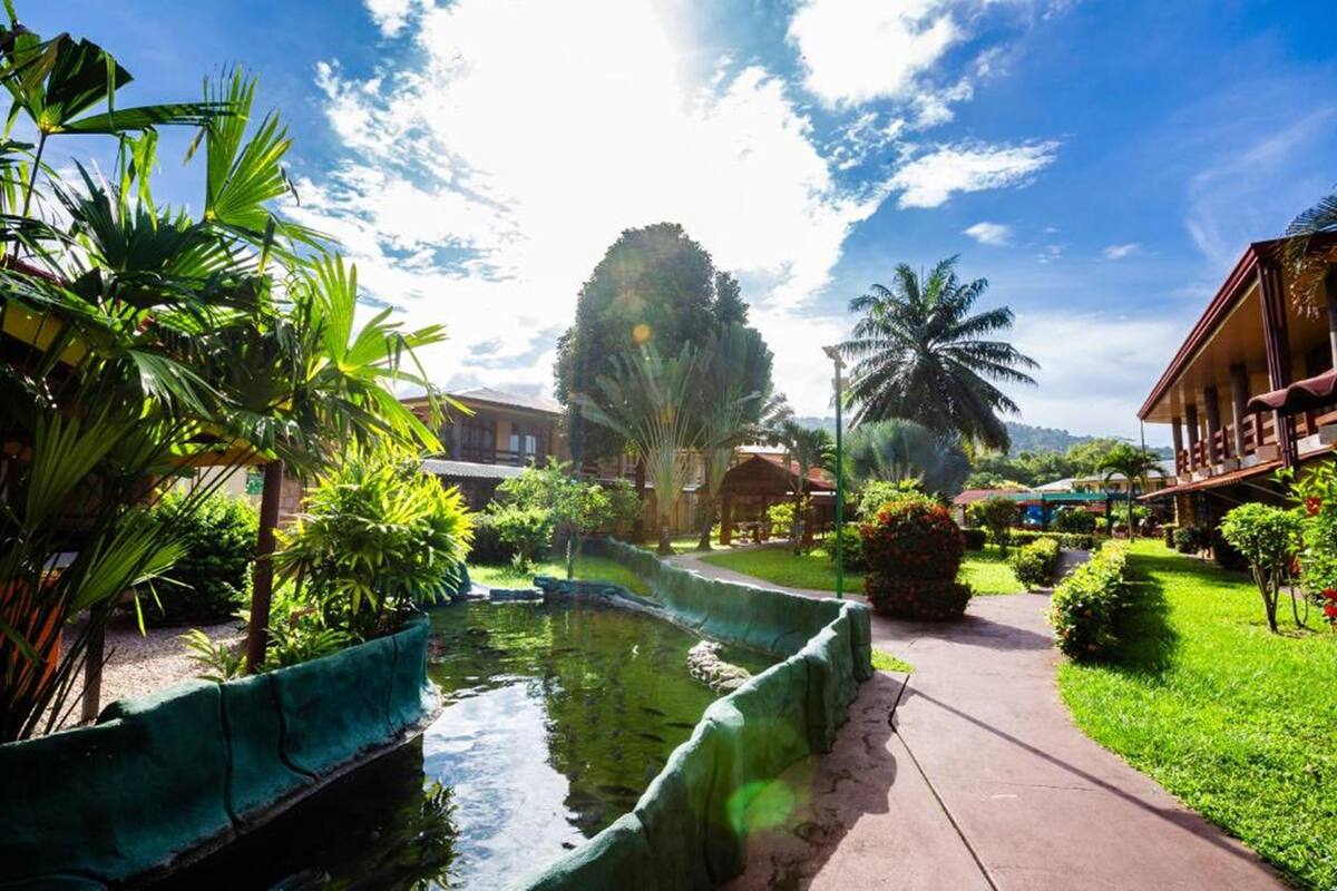 A serene courtyard with a pond, lush greenery, and a building with a balcony.