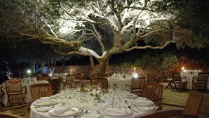An outdoor dining area with round tables set for a meal, surrounded by chairs, under a large tree. -  Alcaufar Vell Hotel Rural & Restaurant (Sant Lluis)