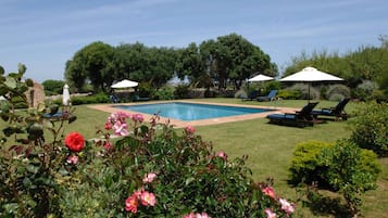 Outdoor pool, open 9:00 AM to 8:00 PM, pool loungers