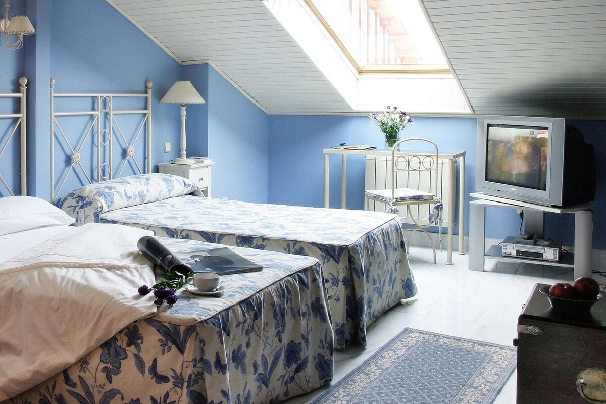 A bedroom with a skylight, a bed, a TV, and a small table with a lamp.